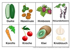 Obst-Gemüse-Früchte-3.pdf